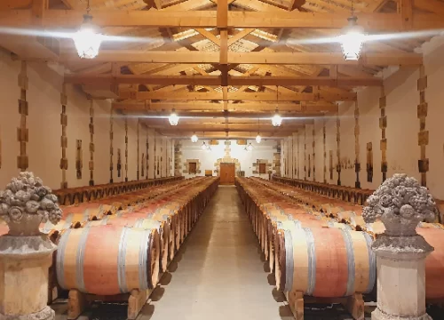 Discovery of the Bordeaux vineyards
