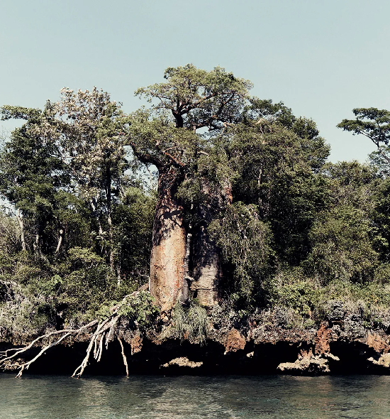 Voyage organisé à Madagascar