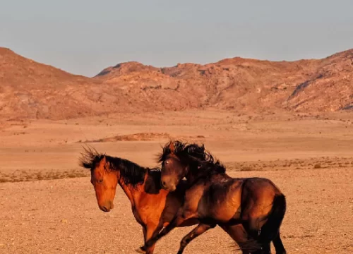 Namibia