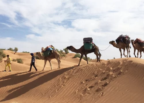 Tunisia: Camel trek