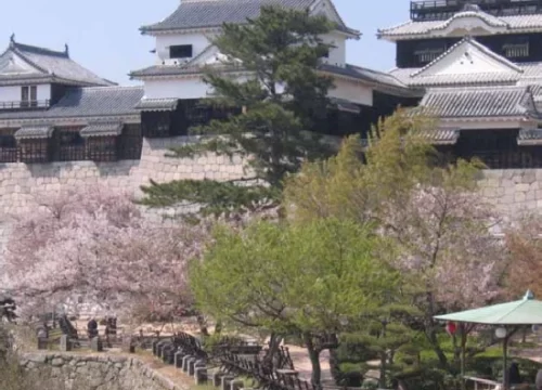 JAPAN: Journey to the Land of the Rising Sun