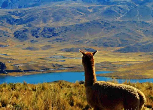 Peru