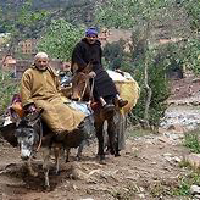 the companion of the desert