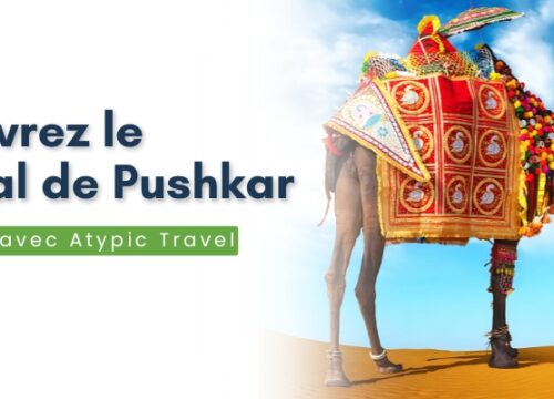 Découvrez le Festival de Pushkar en 14 jours avec Destination Satypiques