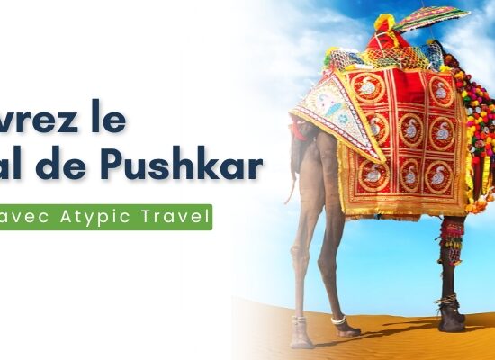 Découvrez le Festival de Pushkar en 14 jours avec Destinations Atypiques