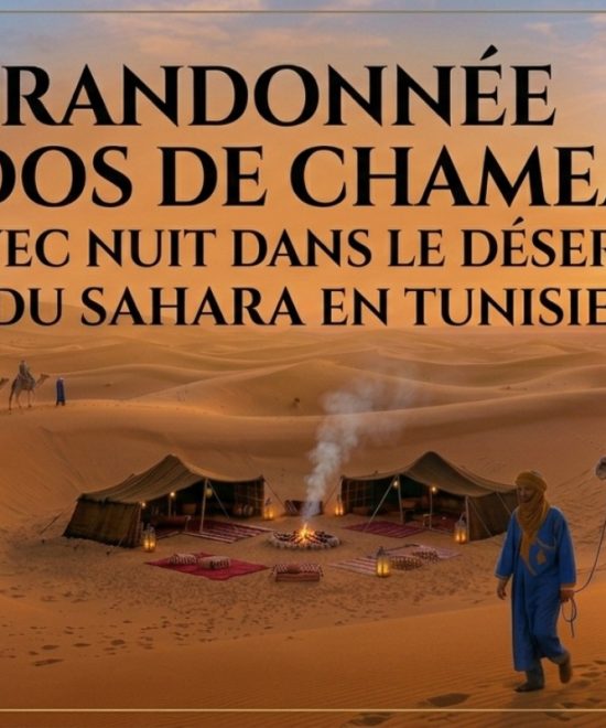 Trek à dos de chameau en Tunisie | Nuit dans le désert du Sahara
