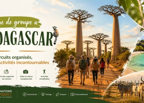 Voyage de groupe à Madagascar