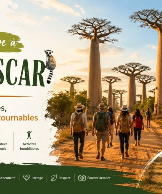 Voyage de groupe à Madagascar