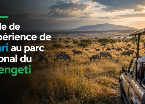 Guide de l’expérience de safari au parc national du Serengeti