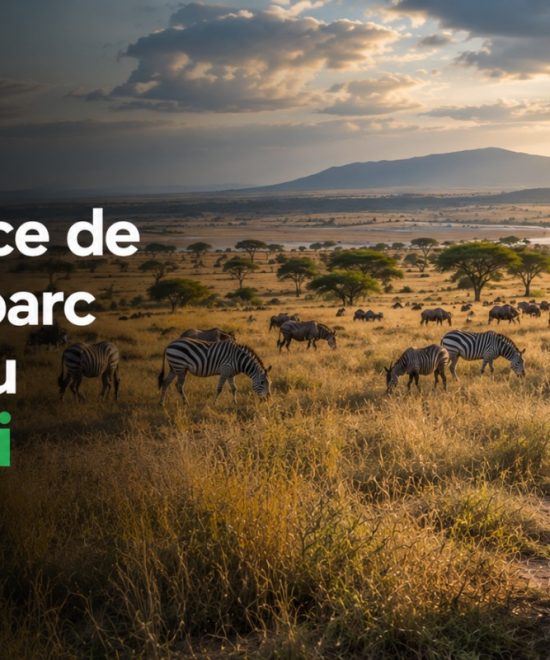 Guide de l’expérience de safari au parc national du Serengeti