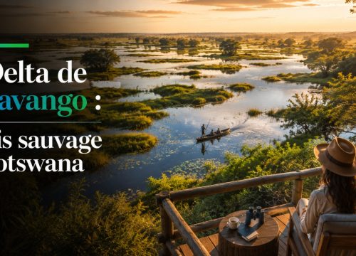 Le Delta de l’Okavango : L’oasis sauvage du Botswana