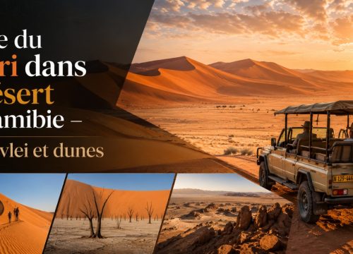 Guide du safari dans le désert de Namibie – Sossusvlei et dunes