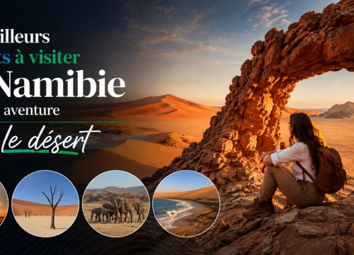 Les meilleurs endroits à visiter en Namibie pour une aventure dans le désert