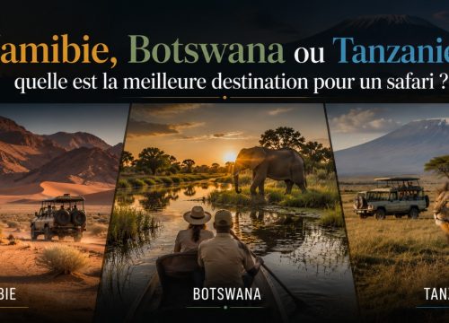 Namibie, Botswana ou Tanzanie : quelle est la meilleure destination pour un safari ?