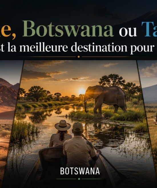 Namibie, Botswana ou Tanzanie : quelle est la meilleure destination pour un safari ?